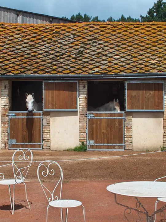 Cdh Metal Amenagement Exterieur Le Mans Amenagement Equestre Cdh Metal Amenagement Exterieur Le Mans Amenagement Equestre